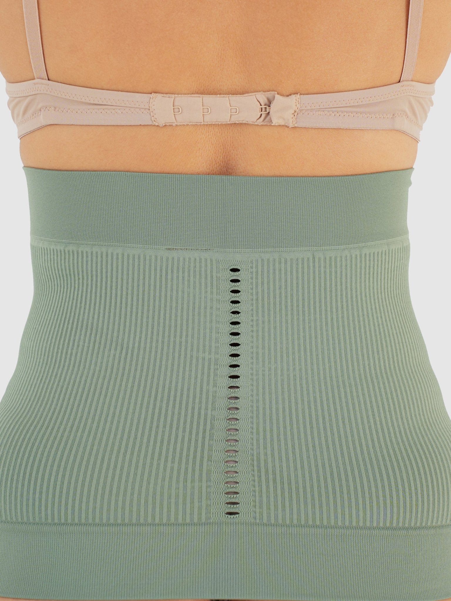 Sinergika Panciera Salvia